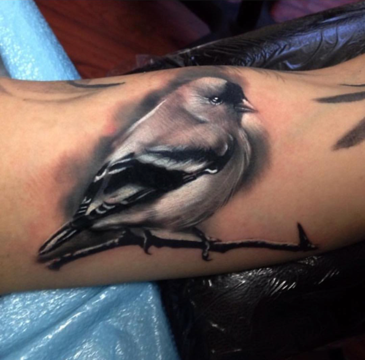 seminaire_tatouage_partage_joshua_carlton_thomas_carli_jarlier