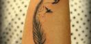 idee_tatouage_plume_tattoo