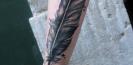 idee_tatouage_plume_tattoo