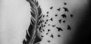 idee_tatouage_plume_tattoo