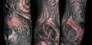 Tatouage_ biomécanique_  David_ Coste_meilleur_tatoueur_vaucluse_