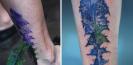 tatouage_botanique_plante_tattoos