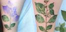 tatouage_botanique_plante_tattoos