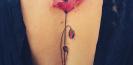 tatouage_fleur_tattoo_plante