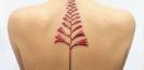 tatouage_fleur_tattoo_plante