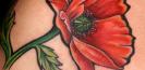 Steven_chaudesaigues_tattoo_studio_tatouage_avignon_graphicaderme_meilleur_tatou